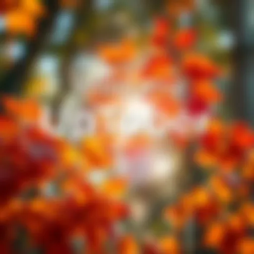Colorful autumn leaves symbolizing growth and change during UpTober