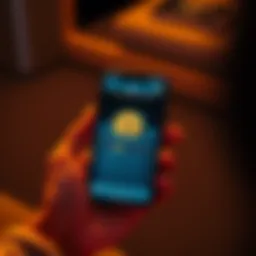 A person holding a smartphone displaying a Bitcoin wallet with a small amount of Bitcoin.