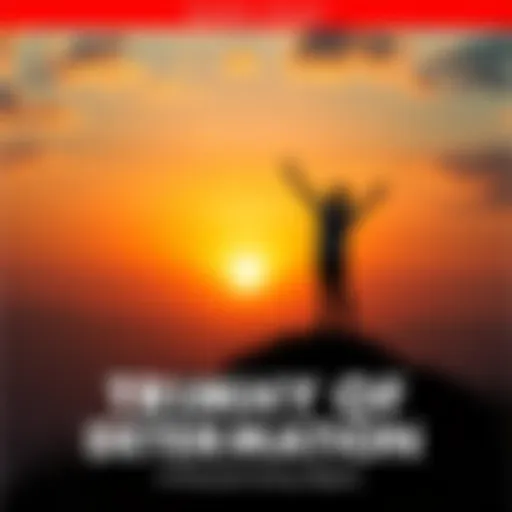 A person standing on a hilltop with arms raised, celebrating their achievement against the backdrop of a sunset