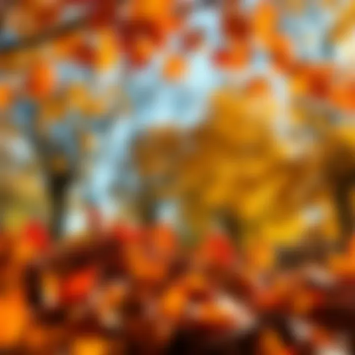 A vibrant autumn scene representing growth and change with leaves turning colors and a sense of energy in the air.