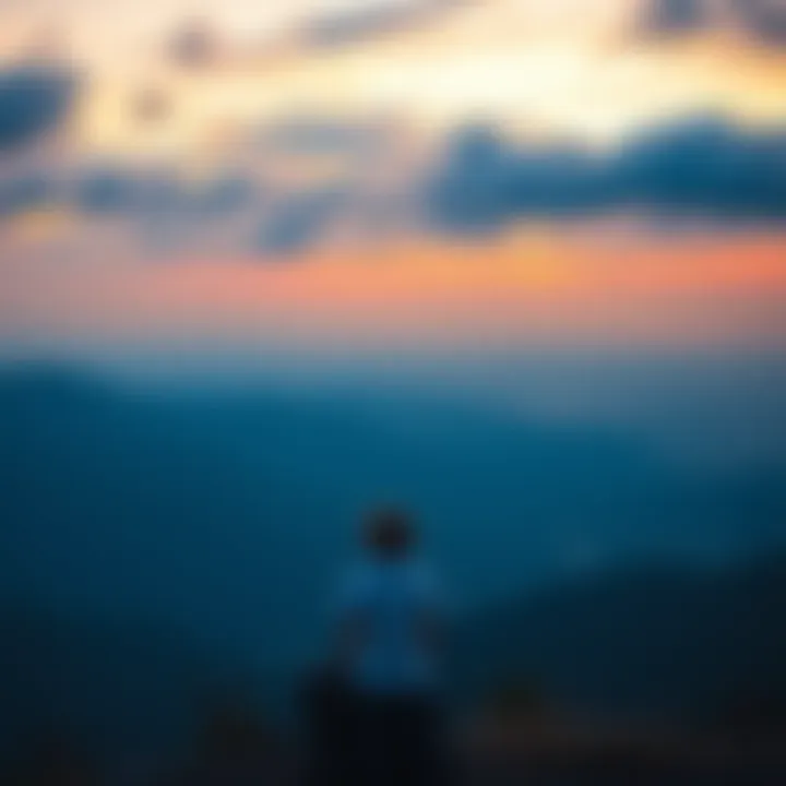 A person standing on a hill, looking at a vast landscape below, symbolizing a broader perspective in life and work.
