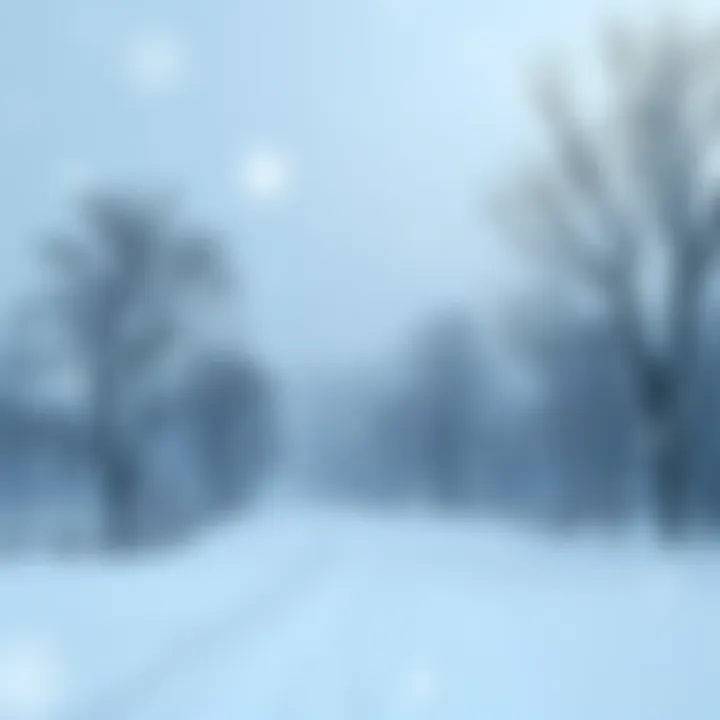 A snowy landscape with falling snowflakes and bare trees in a chilly setting
