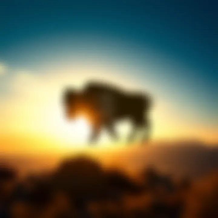 A visual representation of Wyoming's Frontier Stable Token (FRNT) with the state outline and dollar sign to symbolize its value pegged to the dollar.